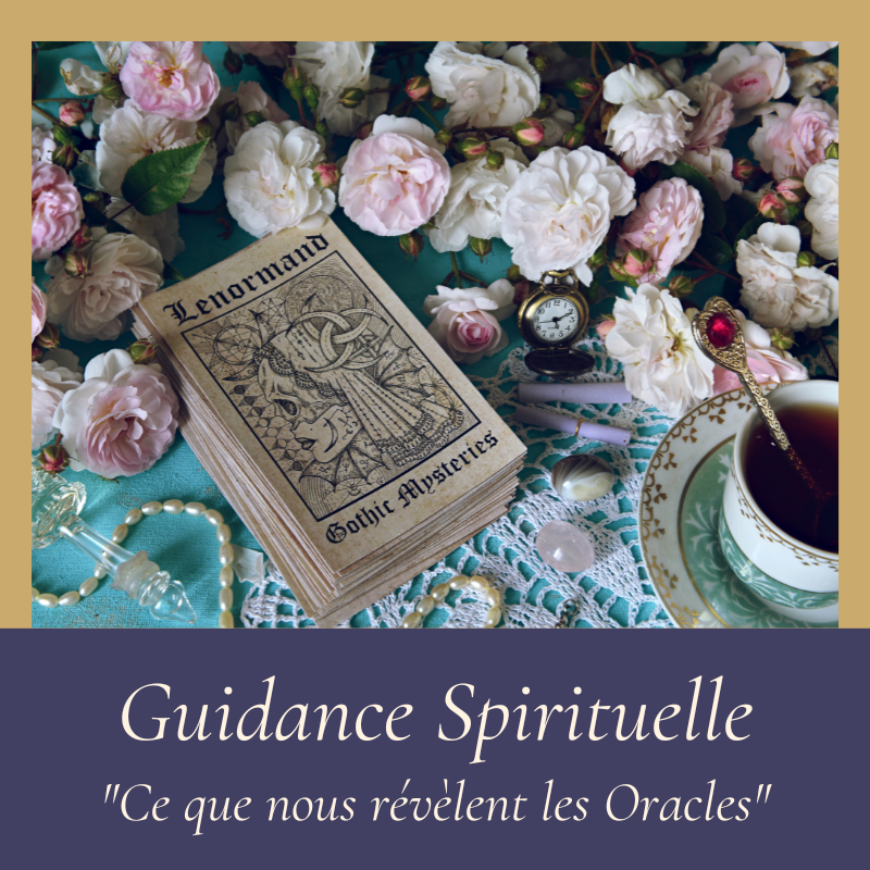 Guidance vignette site web 1