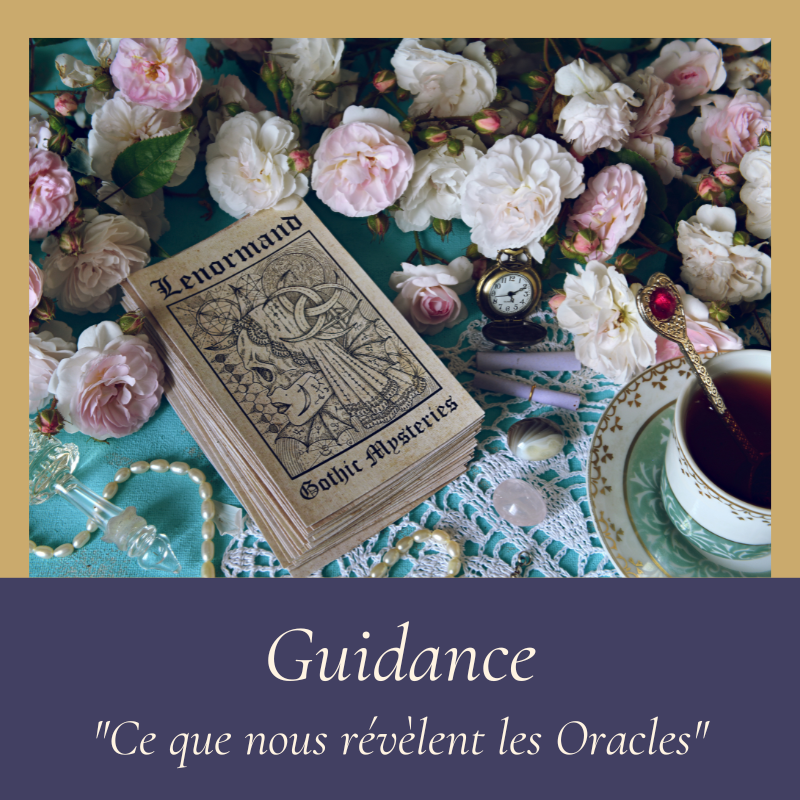 Guidance vignette site web