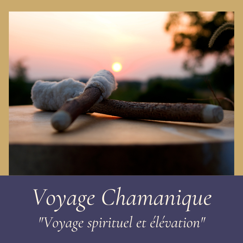 Voyage chamanique vignette site web