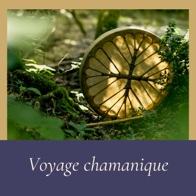 Voyage chamanique